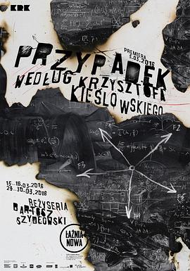 极品美欧视频海报剧照